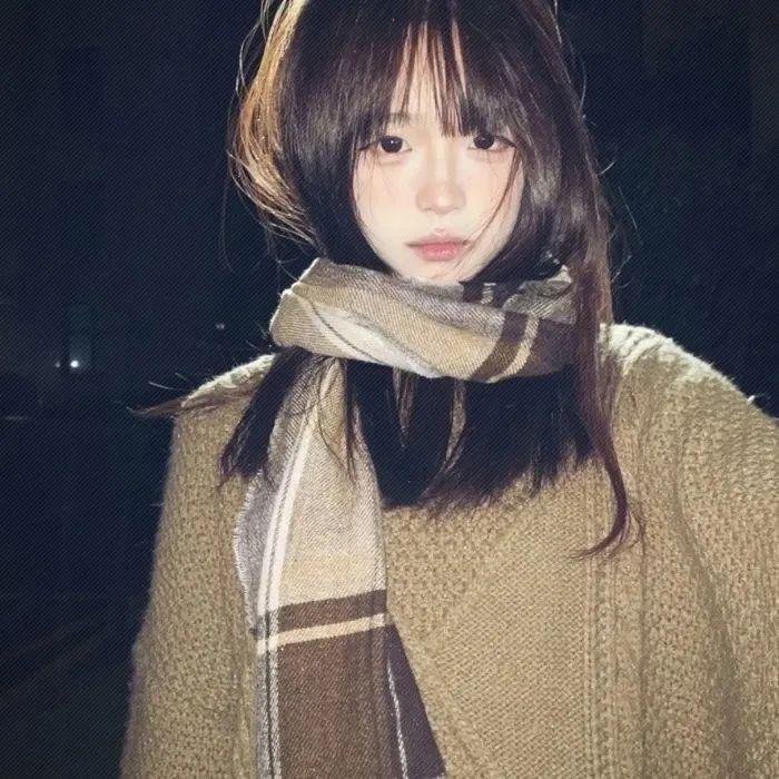 企鹅之岛:福克兰