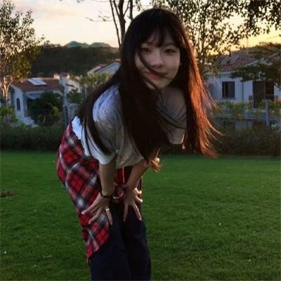 南极物语